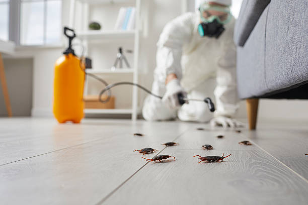 Commercial Kitchen Cockroach Control in Leo-Cedarville